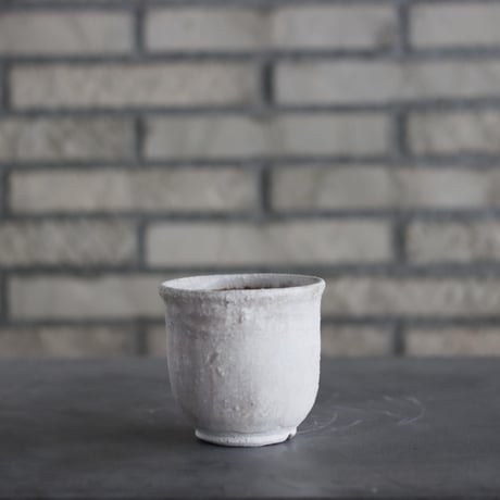 CATEGORY 3号鉢 | 芽の巣山