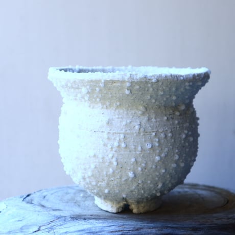 HAKASEPOT   SHIROTSUBU  / white     no.21608