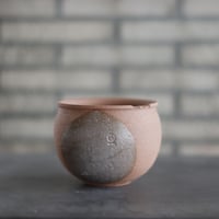 ケラリア ピグマエア / Ceraria pygmaea / 発根済み no.2266