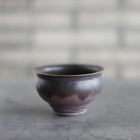 CATEGORY たけろうポット | 芽の巣山