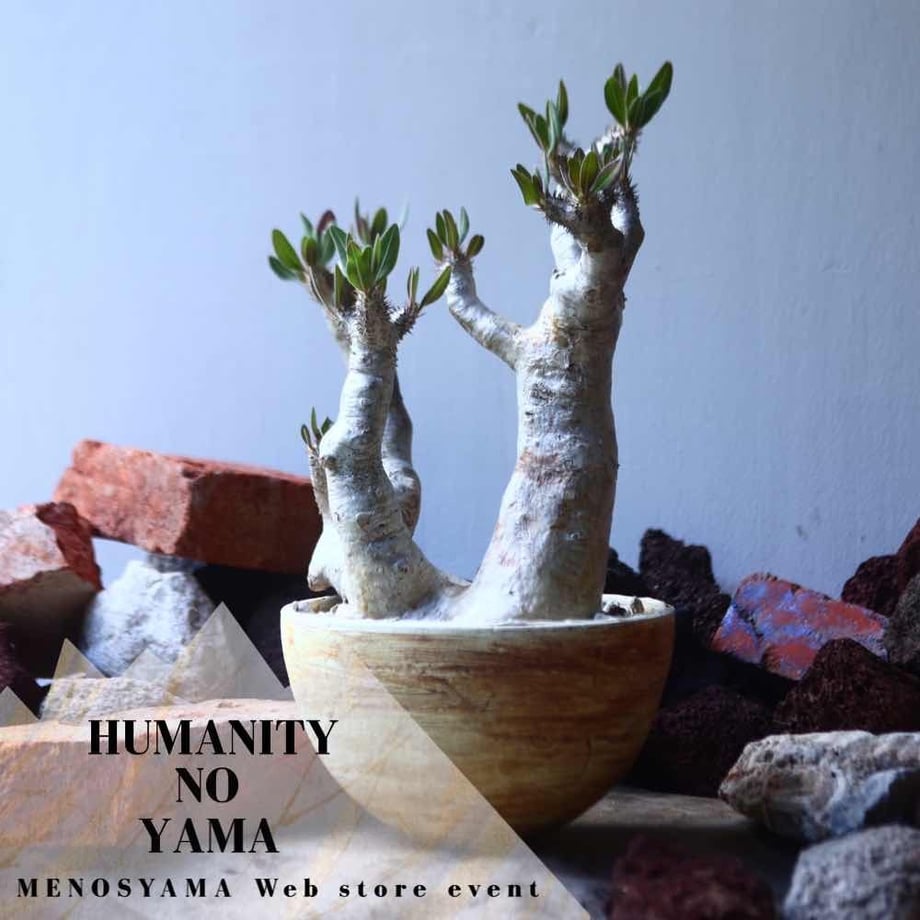 5ea4ec1d34ef010d17dade62
