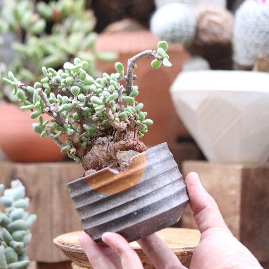 6380c3b7bd5e4d16fe9d5fb4