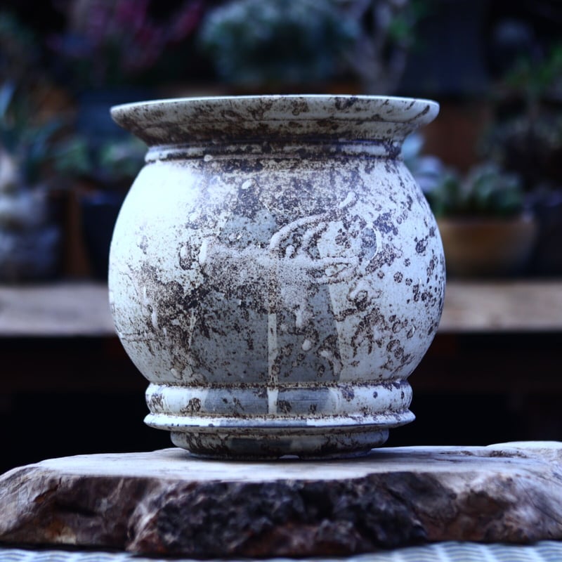 たけろうポット / 大鉢 / シロサビ