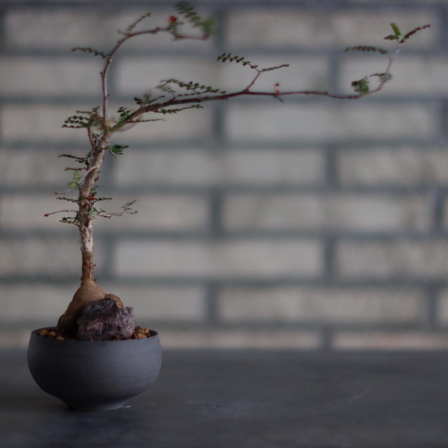 68b2269dbe11ecdb7c98a0e0
