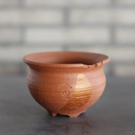 CATEGORY 4号鉢 | 芽の巣山