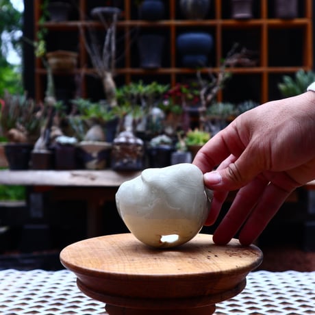 Mie  Maeda 〝blanco″   /   humanity pot       no.532