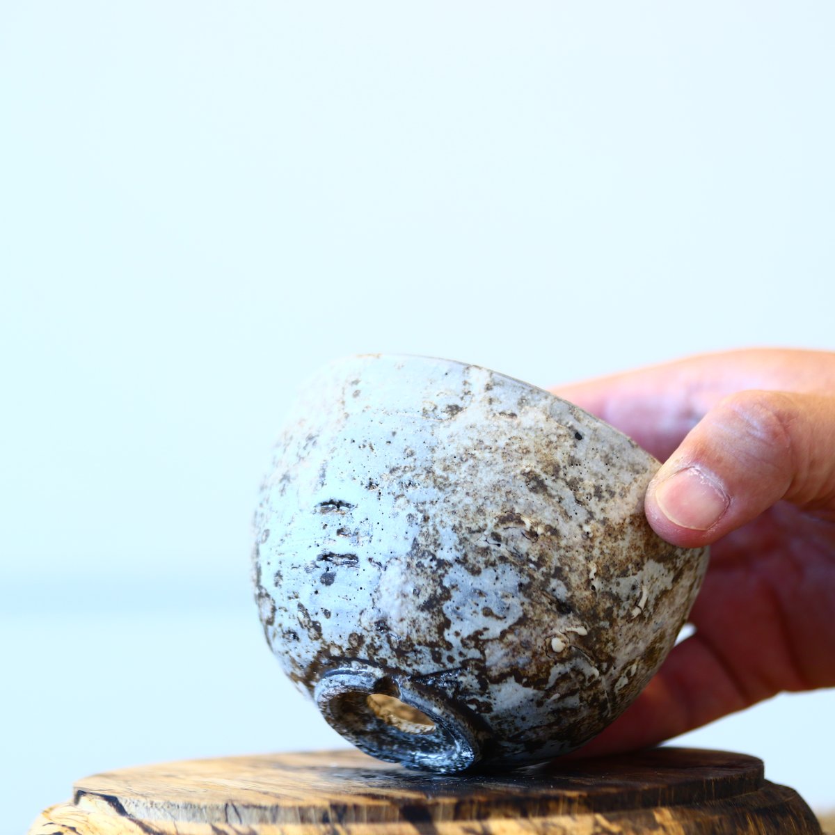 たけろうポット/ シロサビ no.414-13 | 芽の巣山