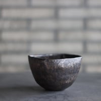 早い者勝ち特価！ 長期管理 現地球 ケラリア ピグマエア 中川智治 作家鉢 Ceraria pygmaea × 山山 特別共作鉢 (安西岳郎 × 中川智治) (3.5