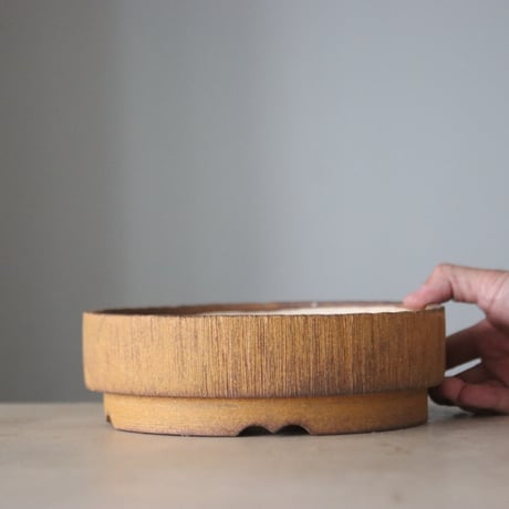 KEI CONDO / BONSAI BACHI (7号鉢)  no.330/13