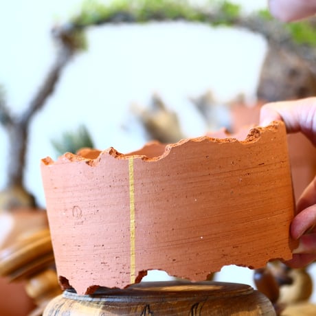 N/OH / Cylinder / Persimmon + Line / M    no.317-41