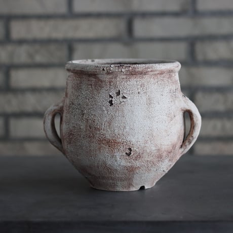 CATEGORY 陶器鉢 | 芽の巣山