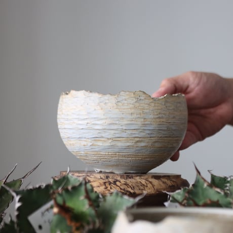 N/OH / MARBLE NOHBLE / コロ鉢 / S   no.421-98