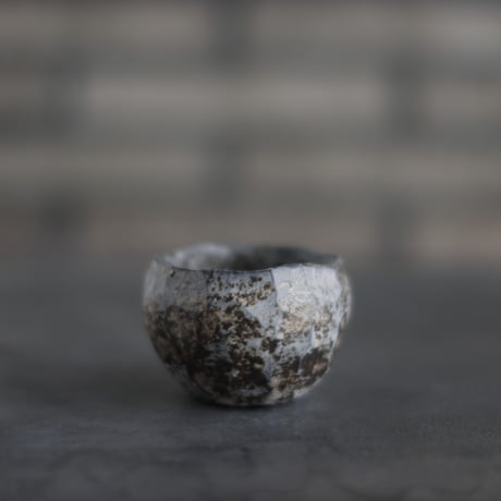 TAKERO POT / Shirosabi  (2.5号)   no.803-103