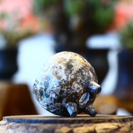 たけろうポット / メントリ/ マメ / ミドリトバシ    no.310-25