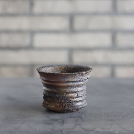 芽の巣山 | STORES