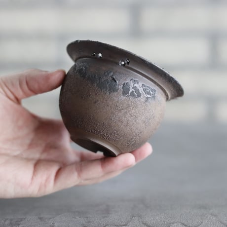 TAKERO POT / モミ / (3.5号) no.1116-49