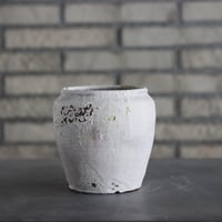 NEOSHIHO 朔 黒 S no.008 | 芽の巣山