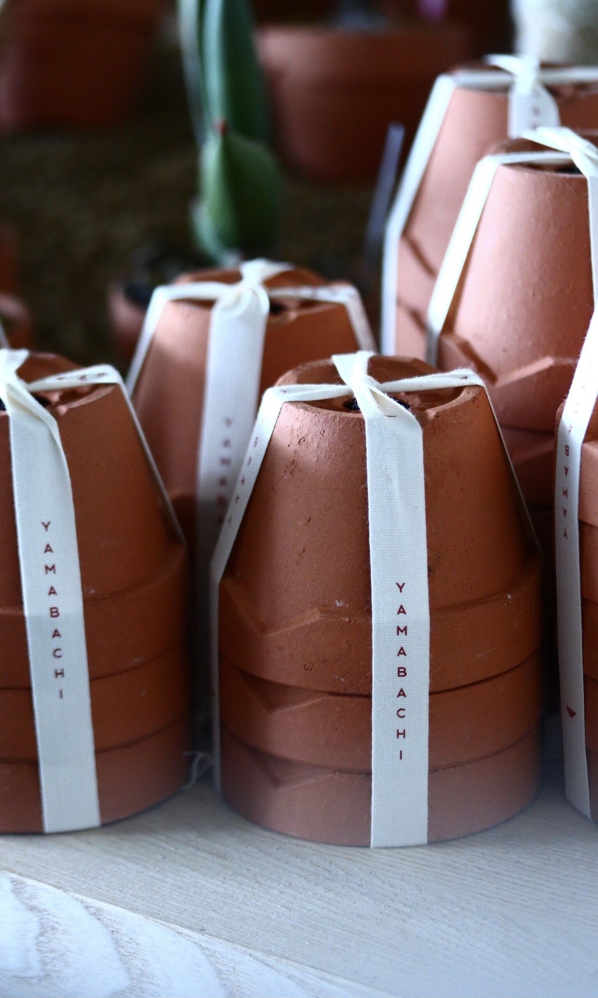 TERRACOTTA MASSES×YAMABACHI 植木鉢 3個セット YAMABACHI / 3pieces | 芽の巣山