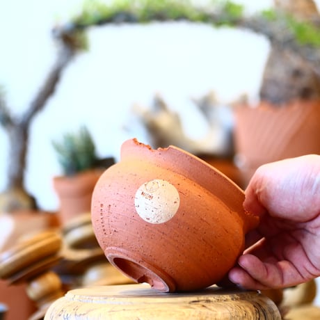 N/OH / コロ鉢 / Persimmon + Moon / SS     no.317-9