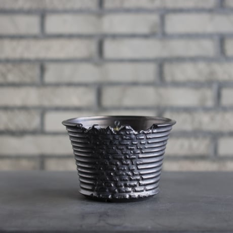 CATEGORY humanity pot | 芽の巣山