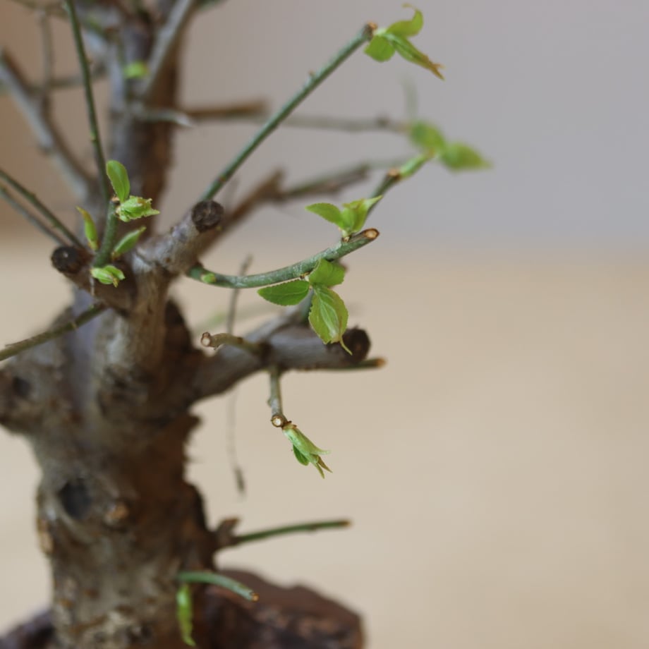 67dce9d42ead3712d3aca927