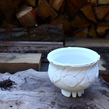tsuchi boy D.G / White　no.509-5
