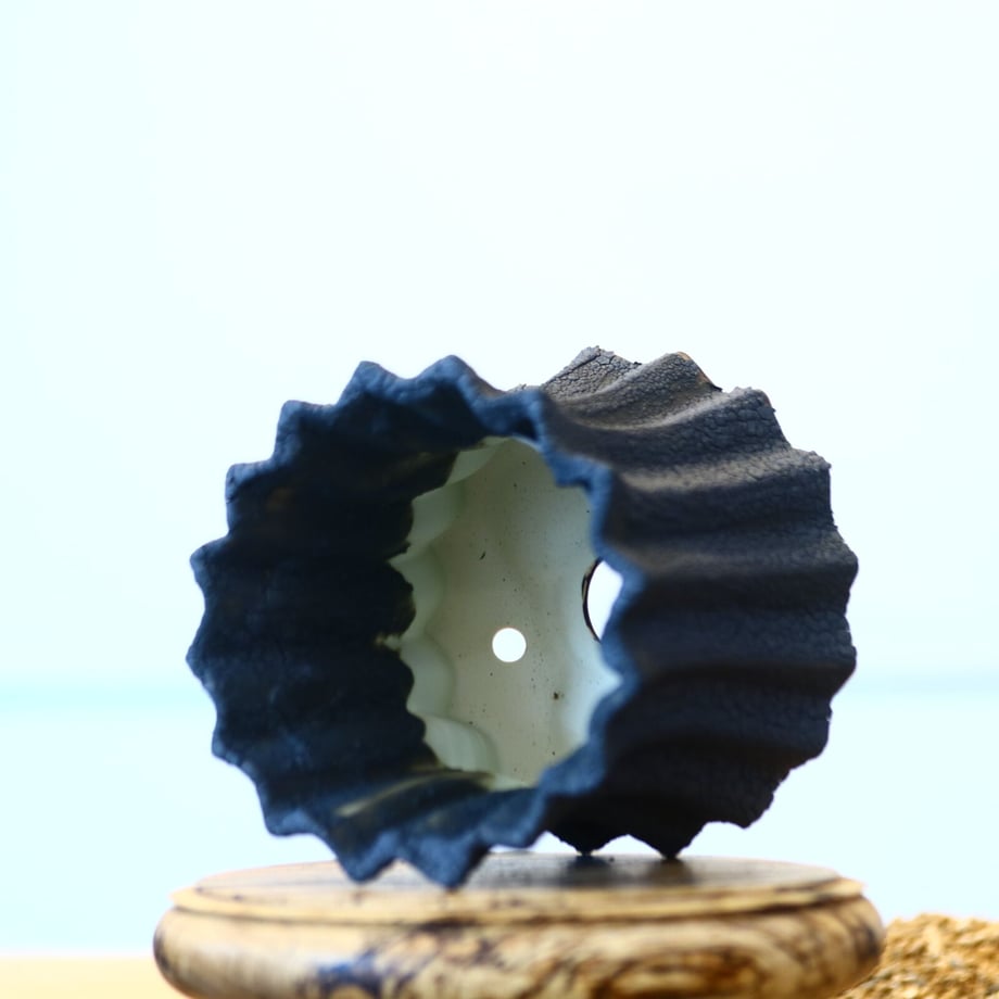 651805a0e533d00031f91286
