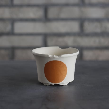 CATEGORY 3.5号鉢 | 芽の巣山