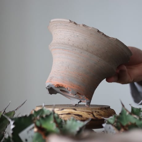 N/OH / MARBLE NOHBLE / M12 / S    no.421-5