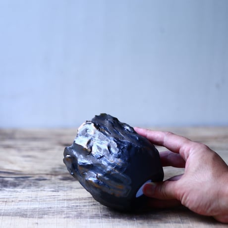Yuta  Uchida 〝gold  glaze monst″   /   humanity pot       no.80282