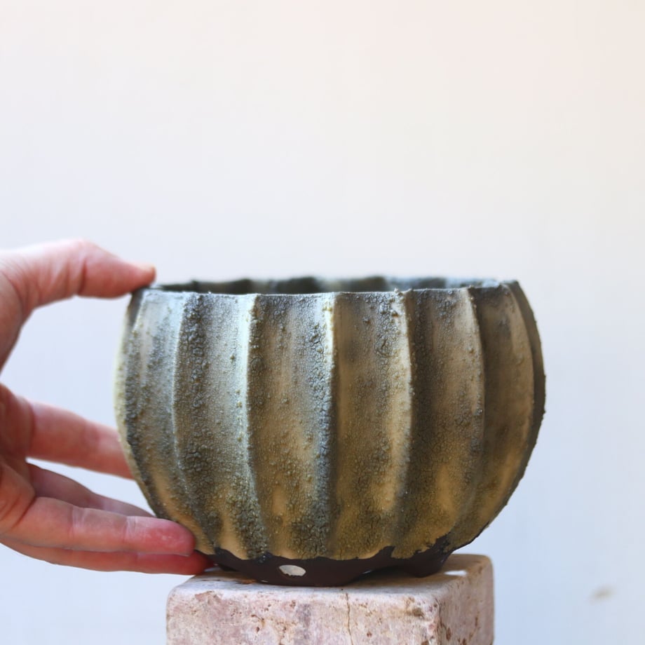 63e7699e34e0174f6eea1cd2