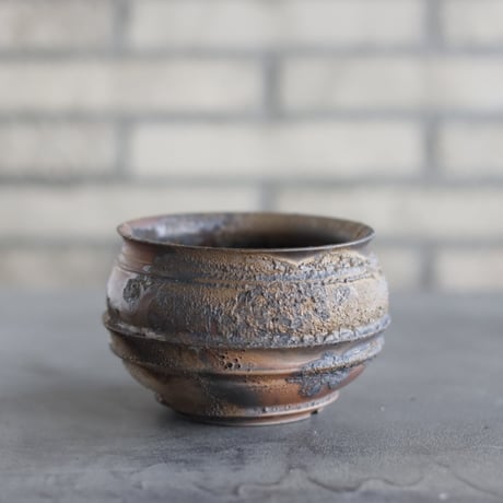 CATEGORY 4号鉢 | 芽の巣山