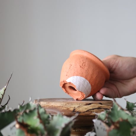 N/OH / コロ鉢 / persimmon + Moon / XS   no.421-129