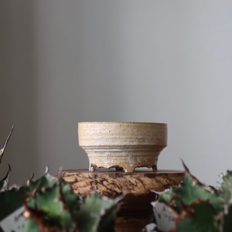 N/OH / MARBLE NOHBLE + Moon / M12 / XS   no.421-140