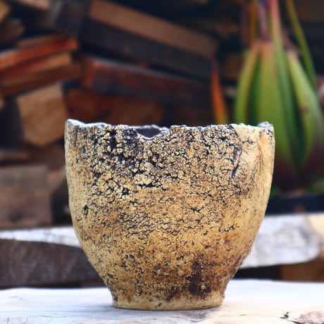 Kaori Ono〝gaia″／humanity pot    no50866