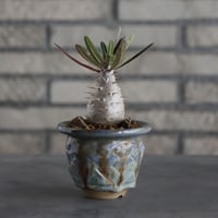 N/OH 澪標　山ノ月　ブラックsサイズ N/OH【澪標-芽の巣山別注】山ノ月ブラック+ moon / M no.51529 |