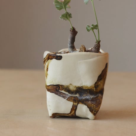Pelargonium mirabile × 陶器鉢 (2.5号鉢)  no.412-10