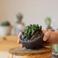 N/OH【澪標-芽の巣山別注】山ノ月ブラック+ moon / SS no.717/190