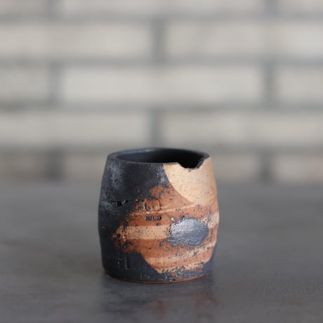 CATEGORY 2号鉢 | 芽の巣山