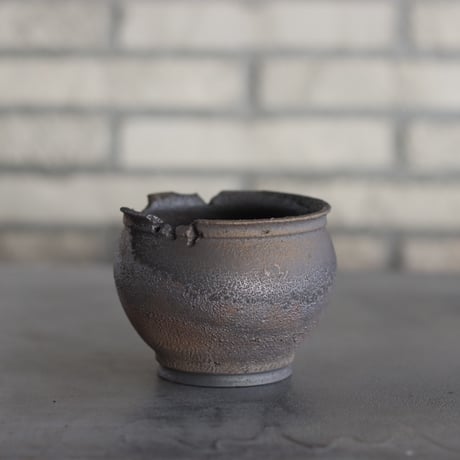 CATEGORY たけろうポット | 芽の巣山