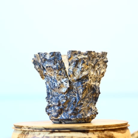 Yuta Uchida / silver rust monst / humanity pot    no.1231-79