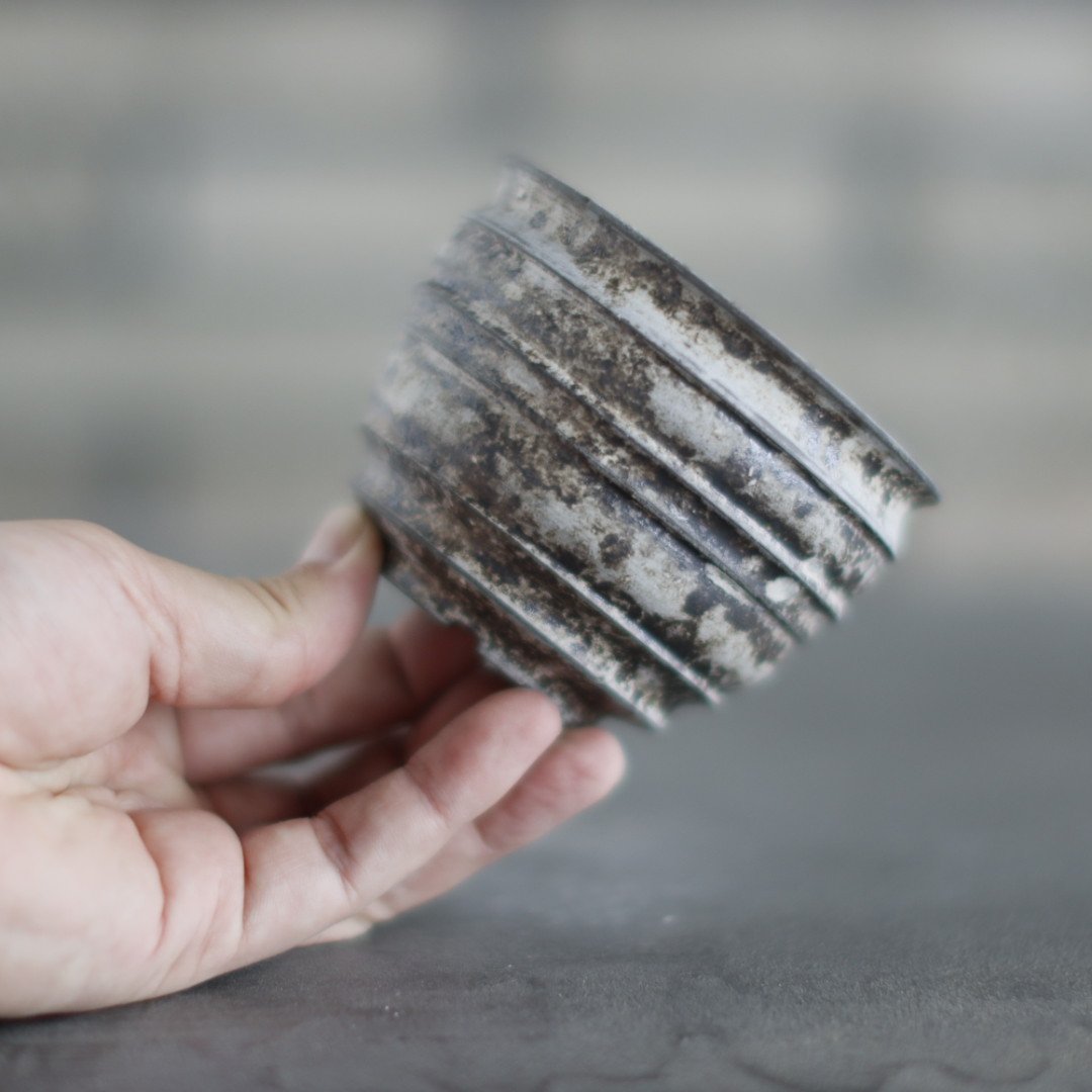 TAKERO POT / Shirosabi (3号) no.803-16 | 芽の巣山