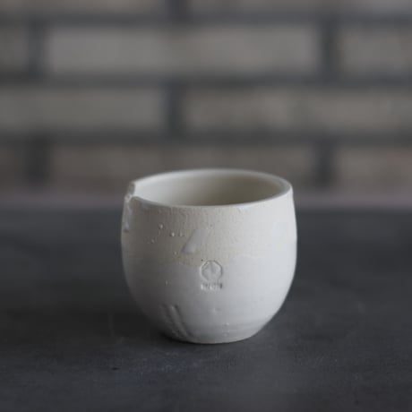 CATEGORY 2.5号鉢 | 芽の巣山