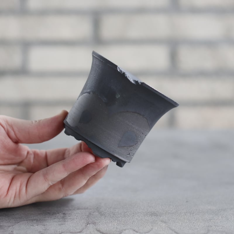 N/OH / ラン鉢 / Strokes / B.B. / XS (3号) no.222-2