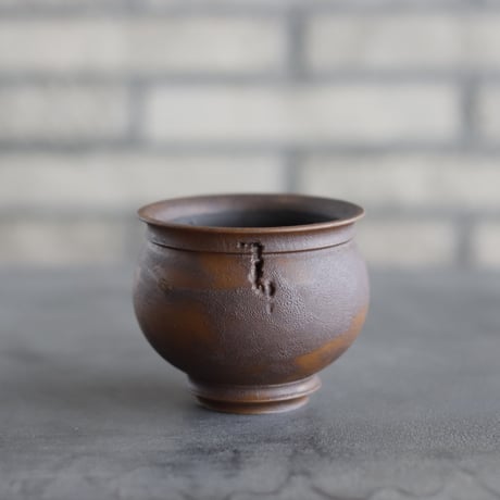 CATEGORY たけろうポット | 芽の巣山