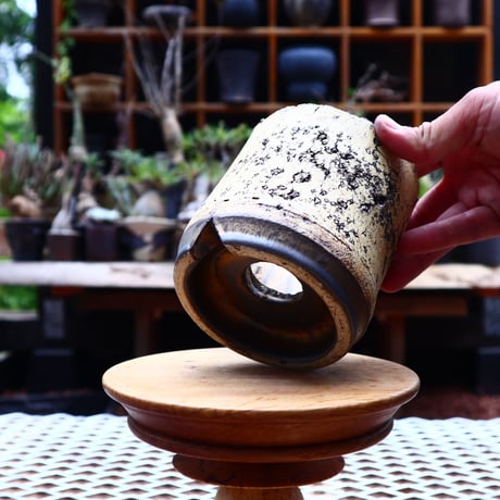 Kaori  Ono 〝 gaia″   /   humanity pot       no.528