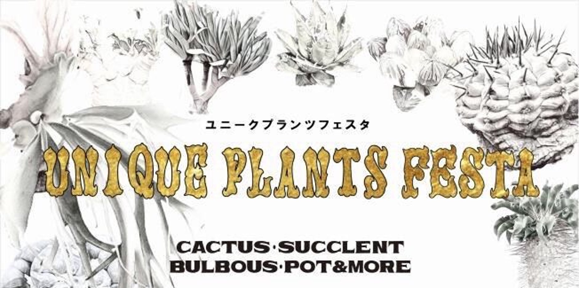 【新品未使用】作家鉢 手作り 観葉 多肉 塊根 芽の巣山 カタチ製作所 素里 ② Amazon｜作家鉢 手作り 観葉 多肉 塊根 芽の巣山 カタチ製作所