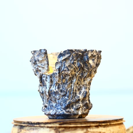 Yuta Uchida / silver rust monst / humanity pot    no.1231-79