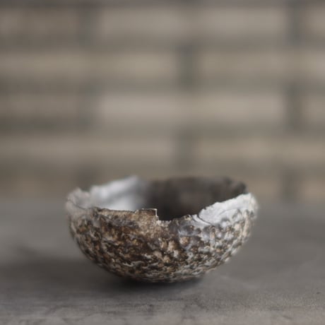 TAKERO POT / Chigiri / Shirosabi (浅鉢) / L (4号) no.928-28