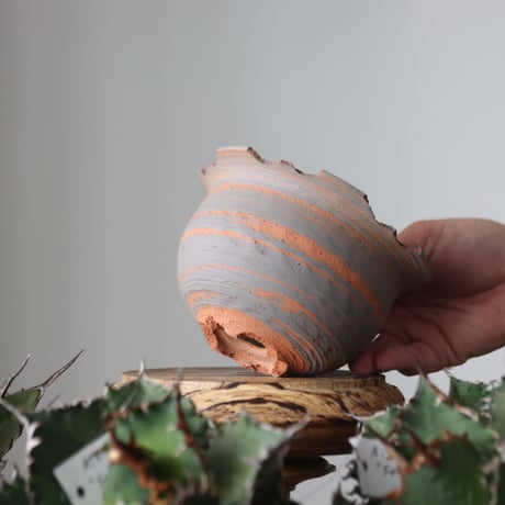 N/OH / MARBLE NOHBLE / コロ鉢 / SS   no.421-42